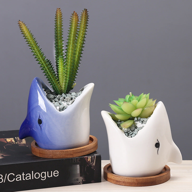 Creative Cartoon Succulent Pot - AKAAL 